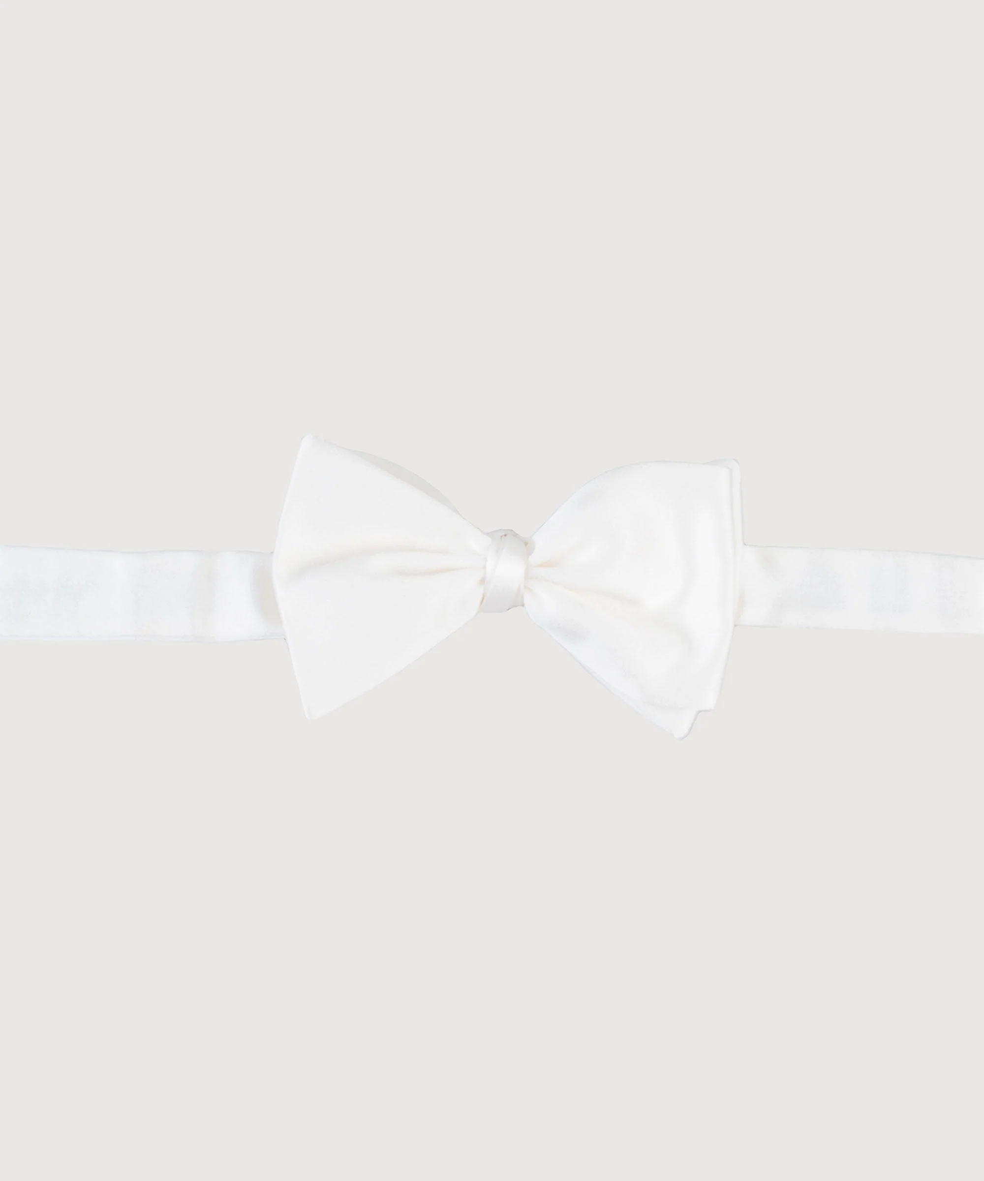 Bow Tie Shiny - Image 4