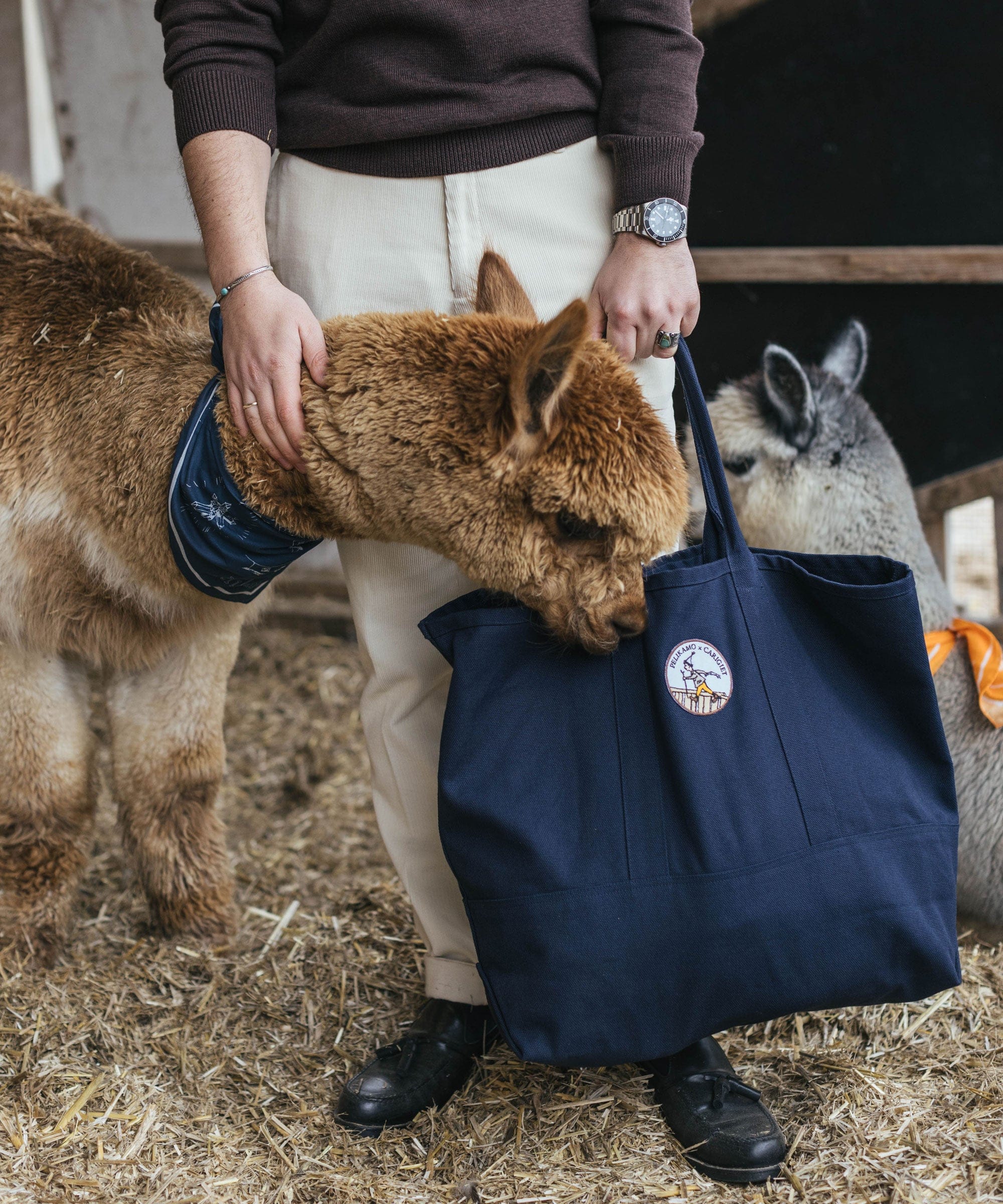 Schellenursli Canvas Bag - Image 4
